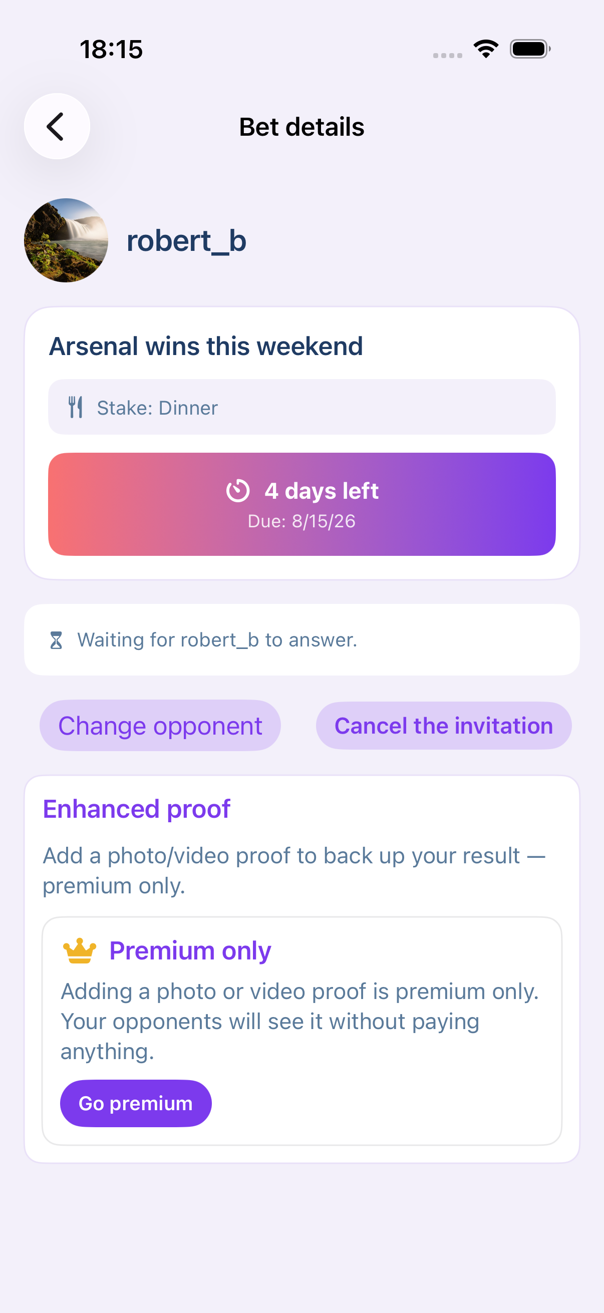 A bet in detail: forfeit, deadline, opponent